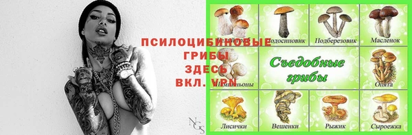 молекула духа Майский