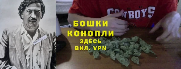 молекула духа Майский