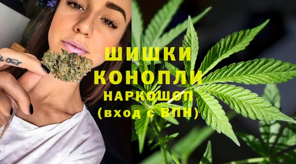 молекула духа Майский