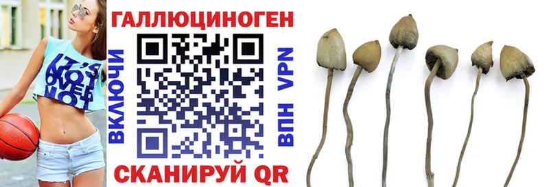 Псилоцибиновые грибы Magic Shrooms  Тихвин 