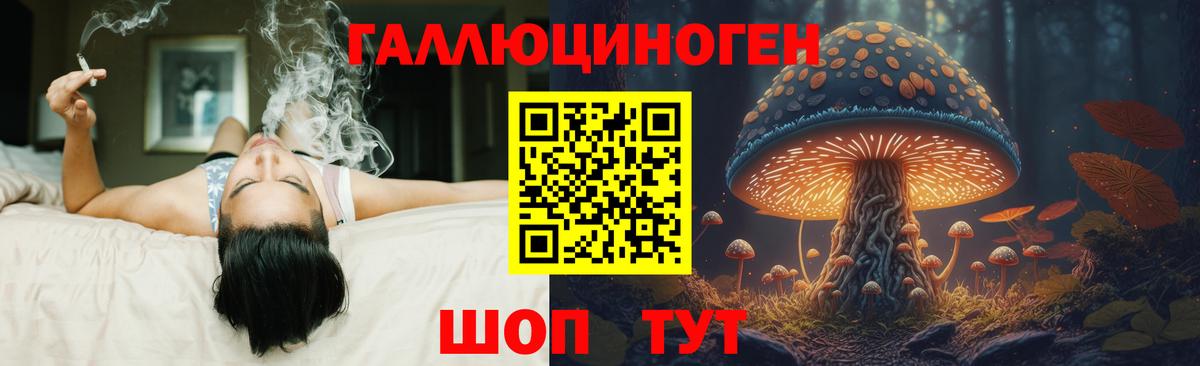 Псилоцибиновые грибы Psilocybe Тихвин